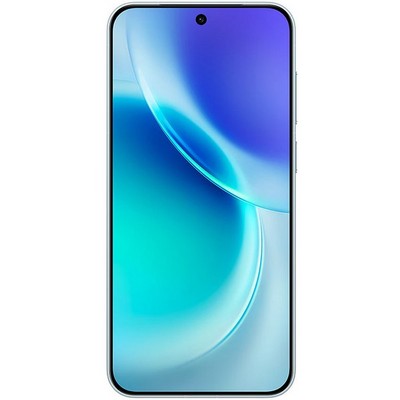 Vivo X300 16/512GB Mist Blue - фото 87137