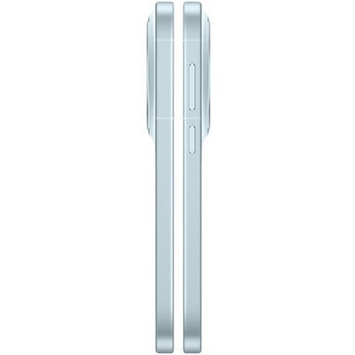 Vivo X300 16/512GB Mist Blue - фото 87139