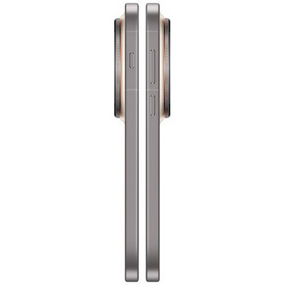 Vivo X300 Pro 16/512GB Wilderness Brown - фото 87178