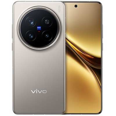 Vivo X200 Pro 12/256GB Titanium Gray - фото 87230