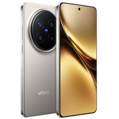 Vivo X200 Pro 12/256GB Titanium Gray - фото 87233