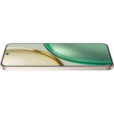 Honor X9d 12/256GB Sunrise Gold - фото 88045
