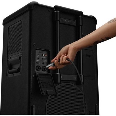 Marshall Bromley 750 Black and Brass - фото 92588