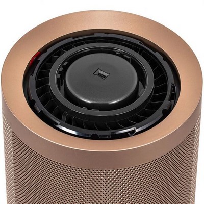 Dyson BP04 Purifier Big+Quiet Formaldehyde Prussian Blue/Gold - фото 93814