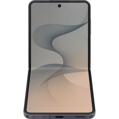 Samsung Galaxy Z Flip8 12/256GB Graphite - фото 97809
