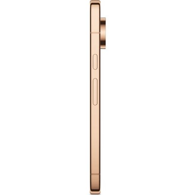 Pixel 11 Pro 12/256GB Canyon - фото 103353