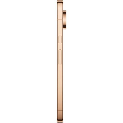 Pixel 11 Pro XL 16/512GB Canyon - фото 103424