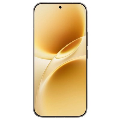 Vivo V70 (V2538) 12/256GB Gray - фото 104374