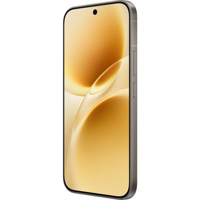 Vivo V70 (V2538) 12/256GB Gray - фото 104377