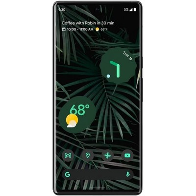 Pixel 6 Pro 12/256GB Stormy Black - фото 66673