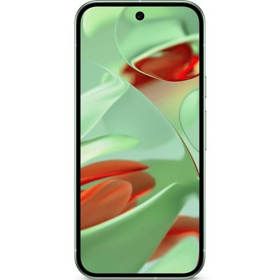 Pixel 9 5G 12/128GB Wintergreen - фото 66803
