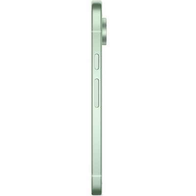 Pixel 9 5G 12/128GB Wintergreen - фото 66806