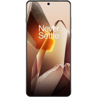OnePlus 13 16/512GB Arctic Dawn - фото 67785