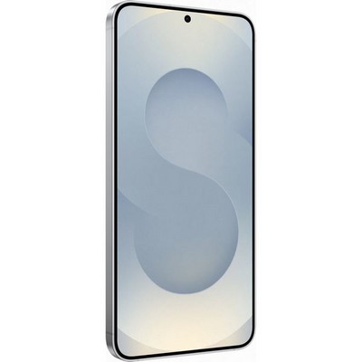 Samsung Galaxy S25 Plus 5G 12/256GB Silver Shadow - фото 68566