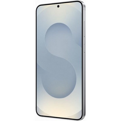 Samsung Galaxy S25 Plus 5G 12/256GB Silver Shadow - фото 68567