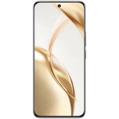 Honor 200 12/512GB Вельветовый черный - фото 68933