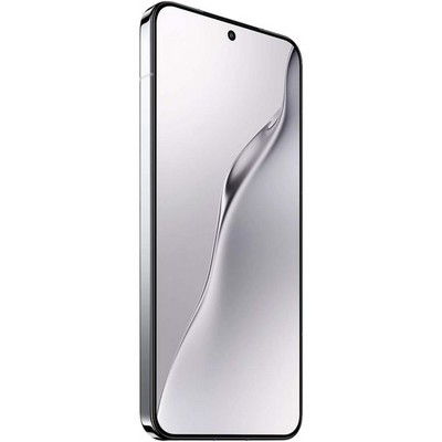 Xiaomi 15 5G 12/256GB Liquid Silver - фото 75844