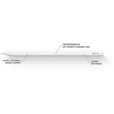 Стилус Apple Pencil (2nd Generation) - фото 21177