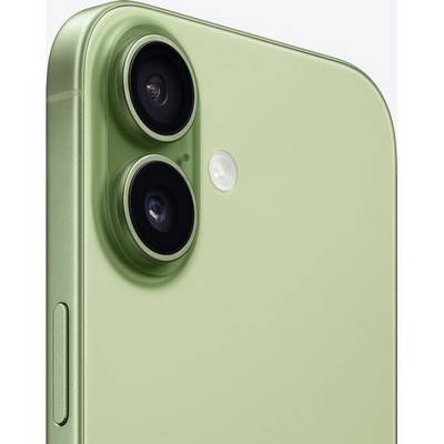 Apple iPhone 17 256GB Sage (зеленый) eSIM - фото 82736