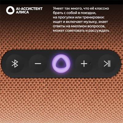 Яндекс Станция Стрит с Алисой, оранжевый - фото 84251