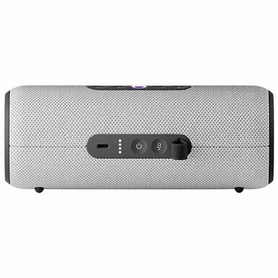 Яндекс Станция Стрит с Алисой, серый - фото 84252