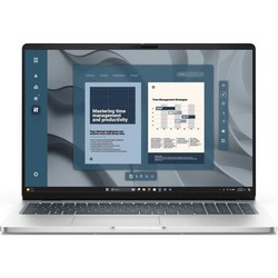 Dell Pro 16 Plus PB16250 (AMD Ryzen 5 220 3200MHz/16Gb/256Gb SSD/16.0/1920х1200/AMD Radeon 740M/Windows 11 Pro) Серый