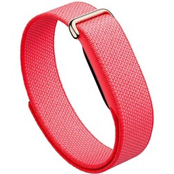 Google Fitbit Air Berry