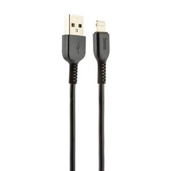 Дата-кабель USB Hoco X20 Flash Lightning (3.0 м) Черный