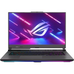 Asus ROG Strix G17 G713PI-DB94 (AMD Ryzen 9 7940HX 2400 MHz/32GB/1024GB SSD/17.3"/2560x1440/240Hz/Nvidia RTX 4070 8GB) Серый
