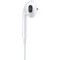 Apple EarPods USB-C - фото 93681