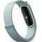 Google Fitbit Air Fog - фото 96487