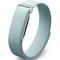 Google Fitbit Air Fog - фото 96488