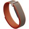 Google Fitbit Air Rye by Stephen Curry - фото 96665