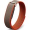 Google Fitbit Air Rye by Stephen Curry - фото 96668