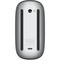 Беспроводная мышь Apple Magic Mouse (USB-C) Black - фото 97204