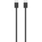 Беспроводная мышь Apple Magic Mouse (USB-C) Black - фото 97206