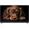 Topdevice TDTV55DQ08U BK (2024) 55" - фото 99741