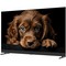 Topdevice TDTV55DQ08U BK (2024) 55" - фото 99743