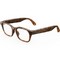 Meta Adventurer Classic Tortoise/ Clear - фото 101123