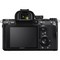Sony Alpha A7 III Body Black - фото 104133