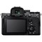 Sony Alpha A7 IV Body Black - фото 104138