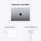 Apple MacBook Pro 14 Late 2021 M1 Pro, 16Gb, 1Tb SSD Space Gray (серый космос) MKGQ3 - фото 45255