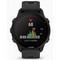 Garmin Forerunner 955 Solar Black (010-02638-30) - фото 61578