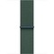Apple Watch SE 2024 GPS 40mm Starlight Aluminium Lake Green Sport Loop - фото 64038