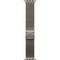 Apple Watch Ultra 2 (2024) GPS + Cellular 49mm S/M/L Natural Titanium Milanese Loop - фото 63556