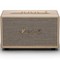 Marshall Acton III Cream - фото 65853