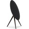 Bang & Olufsen Beosound A9 5th Generation Black Anthracite - фото 72680