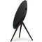 Bang & Olufsen Beosound A9 5th Generation Black Anthracite - фото 72686