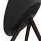 Bang & Olufsen Beosound A9 5th Generation Black Anthracite - фото 72688