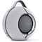 Devialet Mania Light Grey - фото 74507